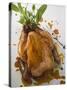 Roast Chicken with Fresh Herbs-null-Stretched Canvas