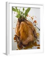 Roast Chicken with Fresh Herbs-null-Framed Photographic Print