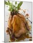 Roast Chicken with Fresh Herbs-null-Mounted Photographic Print