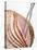 Roast Ham, Partly Carved, with Carving Fork-null-Stretched Canvas