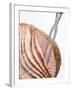 Roast Ham, Partly Carved, with Carving Fork-null-Framed Photographic Print
