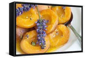 Roasted Apricots with Lavender, Detail-C. Nidhoff-Lang-Framed Stretched Canvas