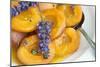 Roasted Apricots with Lavender, Detail-C. Nidhoff-Lang-Mounted Photographic Print