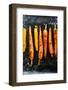 Roasted Carrots with Spices on a Baking Tray, Food-Olha Afanasieva-Framed Photographic Print