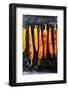 Roasted Carrots with Spices on a Baking Tray, Food-Olha Afanasieva-Framed Photographic Print
