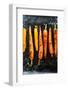 Roasted Carrots with Spices on a Baking Tray, Food-Olha Afanasieva-Framed Photographic Print