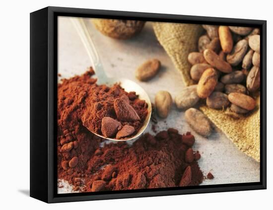 Roasted Cocoa Beans in Jute Sack and Cocoa Powder-Chris Meier-Framed Stretched Canvas