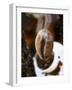 Roasted Coffee Bean (Steaming)-Dieter Heinemann-Framed Premium Photographic Print