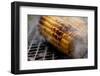 Roasted Sweet Corns on the Bbq Grill-lenka-Framed Photographic Print