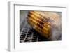 Roasted Sweet Corns on the Bbq Grill-lenka-Framed Photographic Print