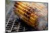 Roasted Sweet Corns on the Bbq Grill-lenka-Mounted Photographic Print