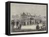 Roasting Oxen at Windsor-null-Framed Stretched Canvas