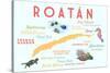 Roatan - Typography and Icons-Lantern Press-Stretched Canvas