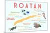 Roatan - Typography and Icons-Lantern Press-Mounted Art Print