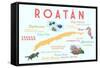 Roatan - Typography and Icons-Lantern Press-Framed Stretched Canvas