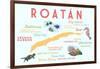 Roatan - Typography and Icons-Lantern Press-Framed Art Print