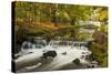 Roath Park, Cardiff, Wales, United Kingdom, Europe-Billy Stock-Stretched Canvas