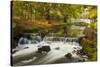 Roath Park, Cardiff, Wales, United Kingdom, Europe-Billy Stock-Stretched Canvas