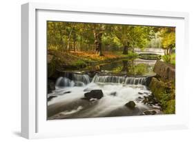 Roath Park, Cardiff, Wales, United Kingdom, Europe-Billy Stock-Framed Photographic Print