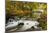 Roath Park, Cardiff, Wales, United Kingdom, Europe-Billy Stock-Mounted Photographic Print
