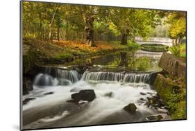 Roath Park, Cardiff, Wales, United Kingdom, Europe-Billy Stock-Mounted Photographic Print