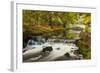 Roath Park, Cardiff, Wales, United Kingdom, Europe-Billy Stock-Framed Photographic Print