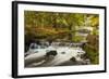 Roath Park, Cardiff, Wales, United Kingdom, Europe-Billy Stock-Framed Photographic Print