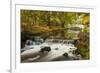 Roath Park, Cardiff, Wales, United Kingdom, Europe-Billy Stock-Framed Photographic Print