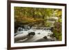 Roath Park, Cardiff, Wales, United Kingdom, Europe-Billy Stock-Framed Photographic Print