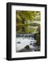 Roath Park, Cardiff, Wales, United Kingdom, Europe-Billy Stock-Framed Photographic Print