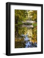 Roath Park, Cardiff, Wales, United Kingdom, Europe-Billy Stock-Framed Photographic Print