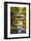 Roath Park, Cardiff, Wales, United Kingdom, Europe-Billy Stock-Framed Photographic Print