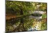 Roath Park, Cardiff, Wales, United Kingdom, Europe-Billy Stock-Mounted Photographic Print