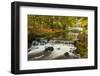 Roath Park, Cardiff, Wales, United Kingdom, Europe-Billy Stock-Framed Photographic Print