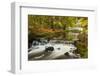 Roath Park, Cardiff, Wales, United Kingdom, Europe-Billy Stock-Framed Photographic Print