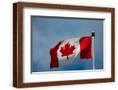 Chelsea Espresso