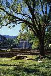 Ancient Mayan Temple, Palenque, Chiapas, Mexico-Rob Cousins-Photographic Print