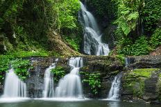 Waterfall in Lamington National Park in Queensland, Australia.-Rob D - Photographer-Photographic Print