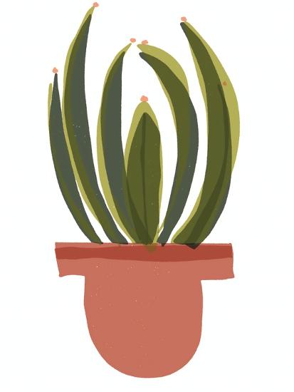 Art Print, , large
