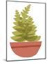 Wood Mount