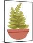Wood Mount