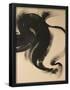 Essential Black