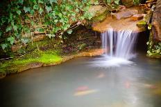 Waterfall Spilling into Coy Fish or Goldfish Pond-Rob Hainer-Photographic Print