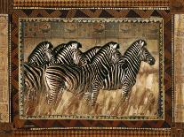 Zebras-Rob Hefferan-Framed Art Print