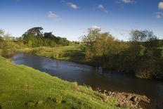 Atlantic Salmon (Salmo Salar) Leaping Up the Cauld at Philphaugh Centre Near Selkirk, Scotland, UK-Rob Jordan-Photographic Print