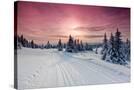 Stretched Canvas