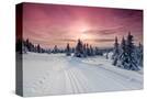 Stretched Canvas