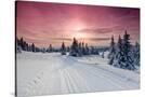 Stretched Canvas