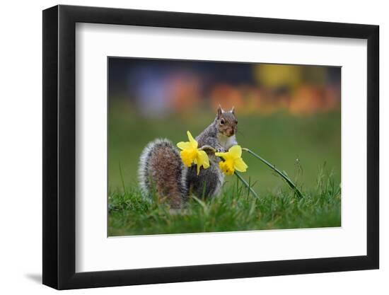 Premium Photographic Print, , large