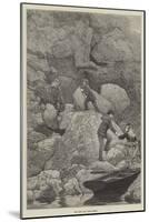 Rob Roy's Cave, Loch Lomond-null-Mounted Giclee Print